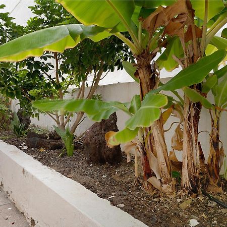 Pippa'S House Apartment San Agustín Екстериор снимка