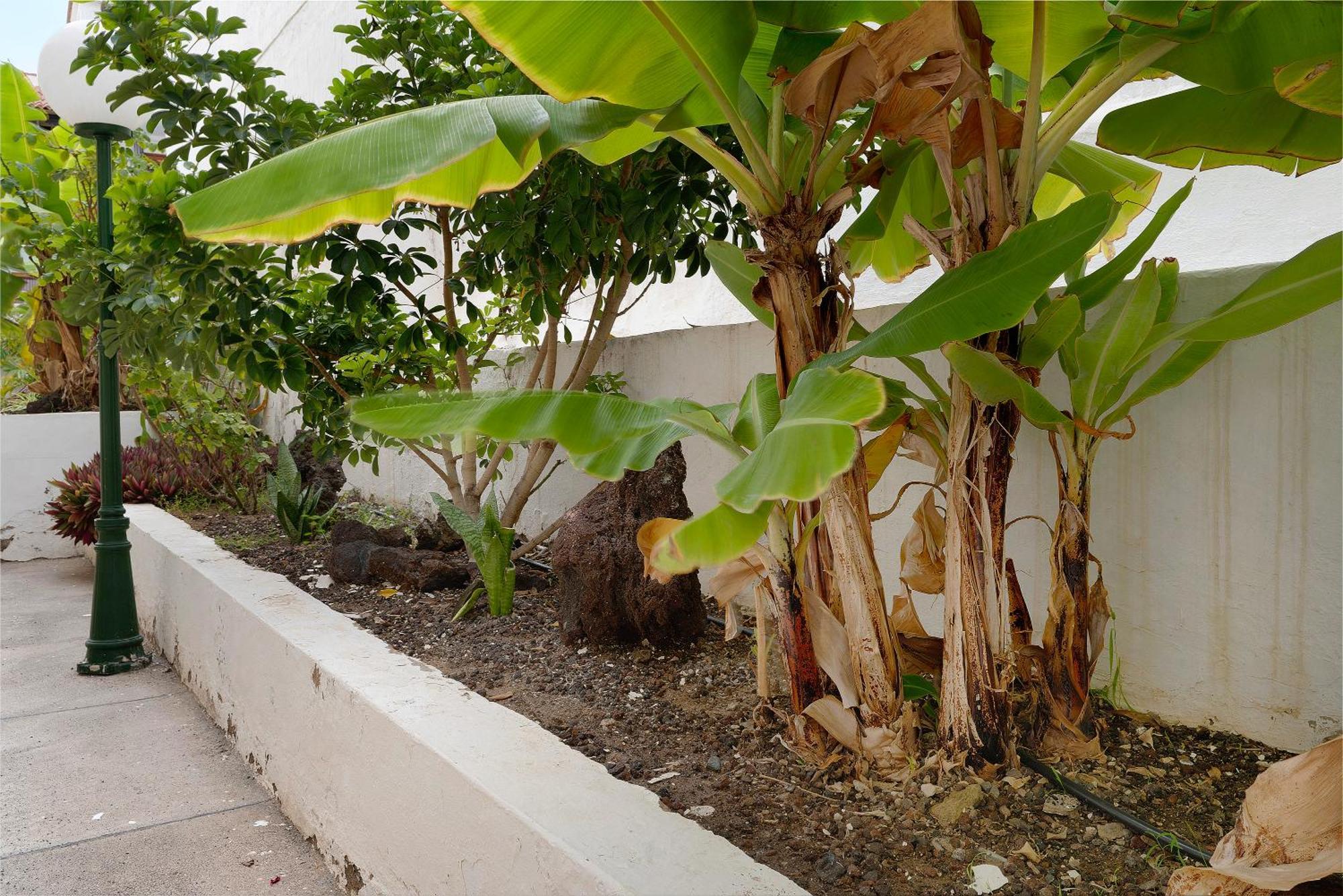 Pippa'S House Apartment San Agustín Екстериор снимка